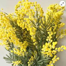 Load image into Gallery viewer, Australian Wattle Artificial Branch. 85cm
