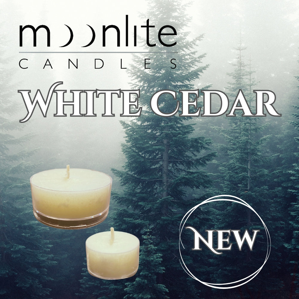 White Cedar - Superior Soy Tea Lights