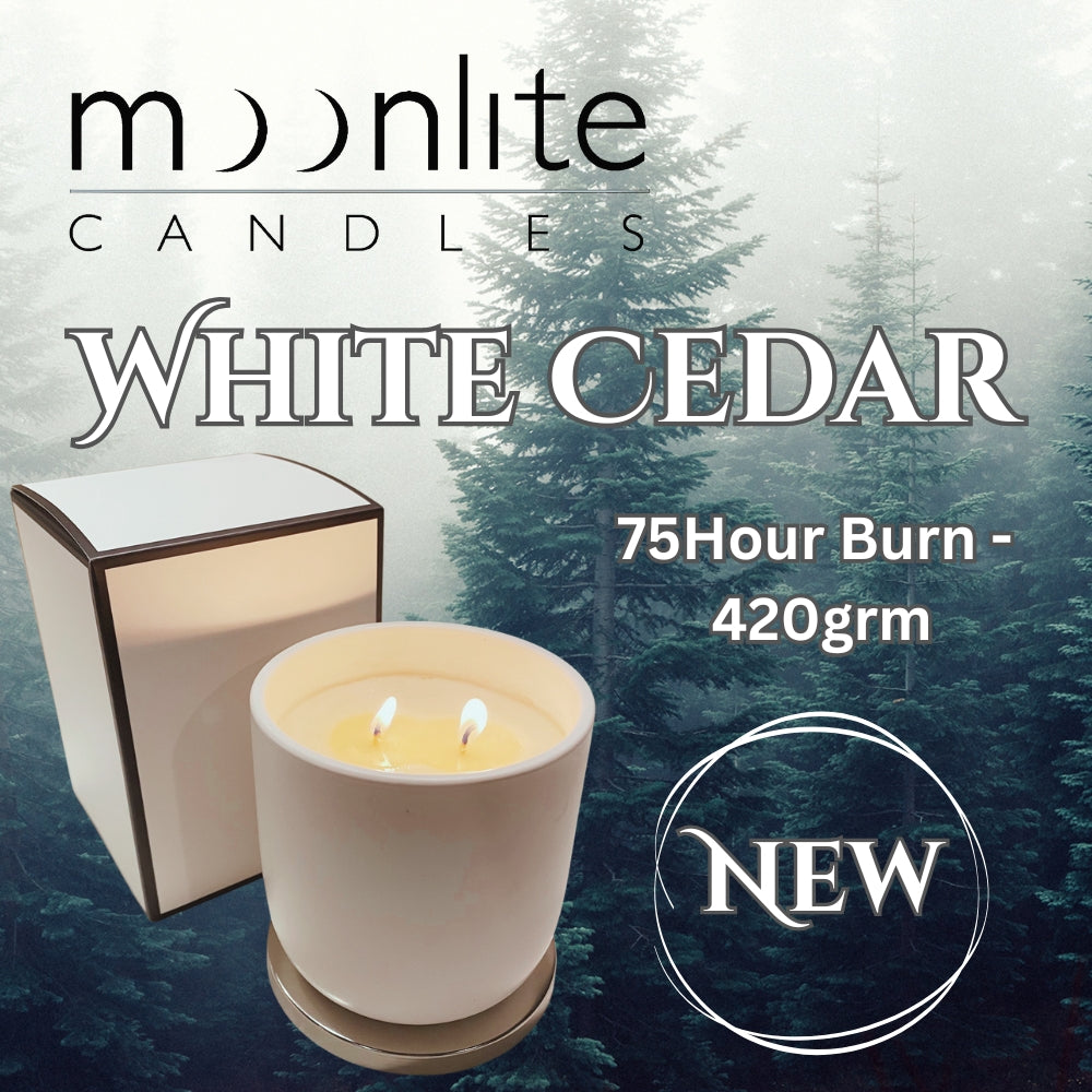 White Cedar - Jar Candles