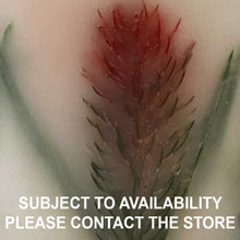 Load image into Gallery viewer, Bottlebrush - Australiana Wax Lanterns
