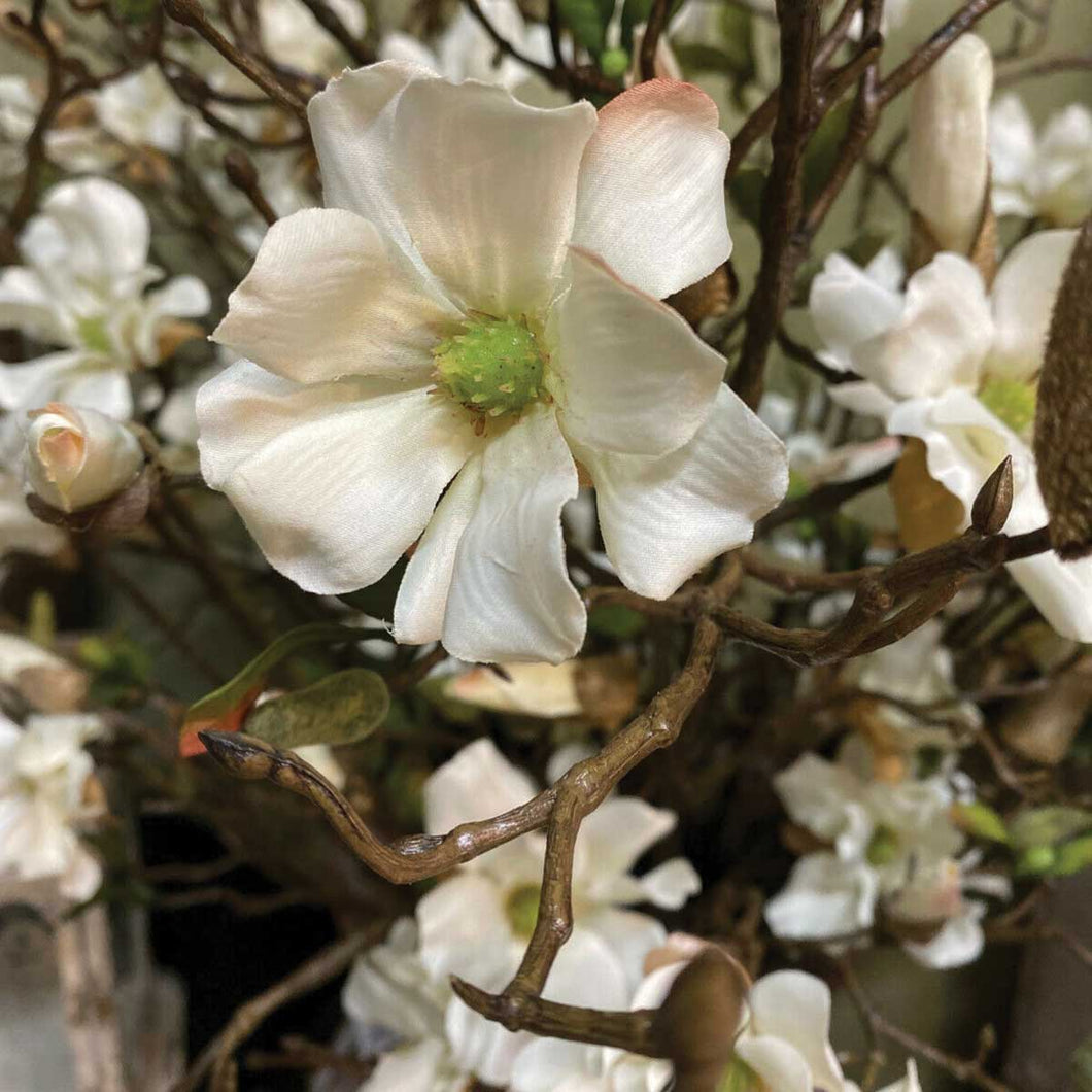 Artificial/Faux Magnolia Stem 110cm - White/Ivory