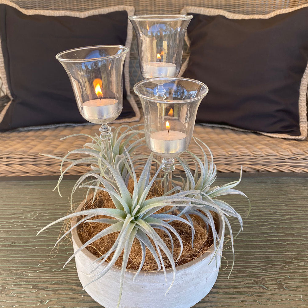 Set of 3 Glass Tea Light Holder Garden Plant Spikes