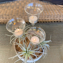 Load image into Gallery viewer, Set of 3 Glass Tea Light Holder Garden Plant Spikes
