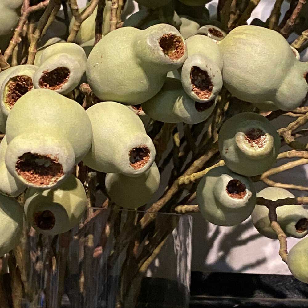 Artificial Natural Look Eucalyptus Gum Nut Stem