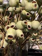 Load image into Gallery viewer, Artificial Natural Look Eucalyptus Gum Nut Stem
