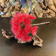 Load image into Gallery viewer, Flowering Gum Faux - Artificial Flower Stem. Red or Orange.
