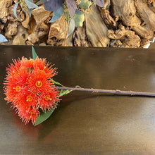 Load image into Gallery viewer, Flowering Gum Faux - Artificial Flower Stem. Red or Orange.
