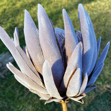 Load image into Gallery viewer, Artificial/Faux Natural Dried-Look Large King Protea Stem
