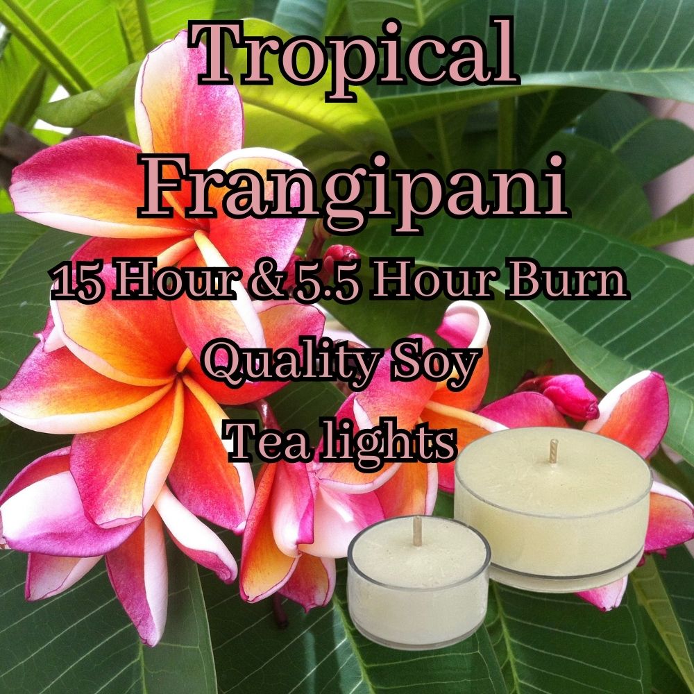 Tropical Frangipani - Superior Soy Tea Lights