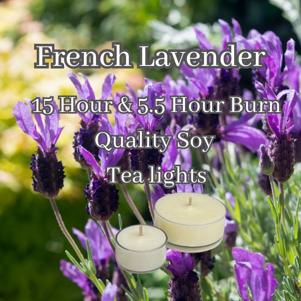 French Lavender - Superior Soy Tea Lights