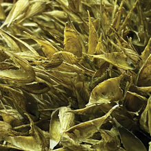 Load image into Gallery viewer, Artificial/Faux Dried Look Wheat Seed Grass Bunch

